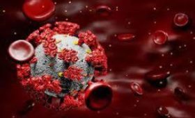Немецкие ученые назвали одну из причин тяжелой формы коронавируса
