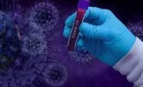 Новых опасных штаммов коронавируса в мире нет