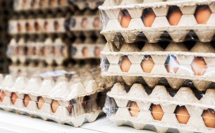 Импортные яйца не попали в торговые сети России
