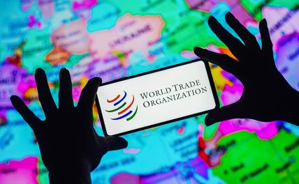 Поманили, обогрели, обманули: ВТО диктует России жесткие правила игры — вход рубль, выход — сто
