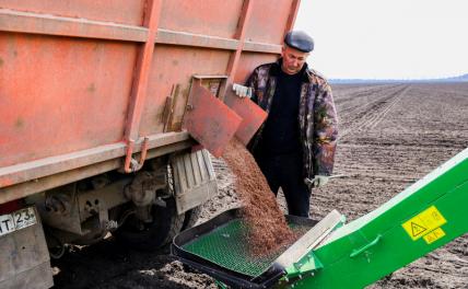 Сельхоз-прогноз: Завтрашние русские деликатесы — пищевые добавки и желудочные таблетки