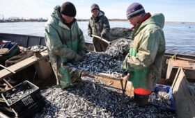 Росрыболовство сочло незаконными массовые отказы рыбакам в вылове корюшки