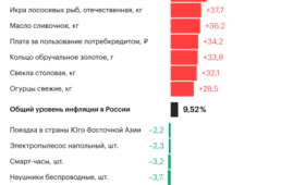 На что упали цены вопреки инфляции в 2024 году. Инфографика