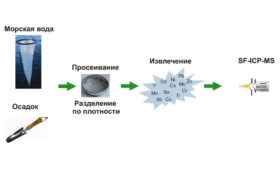 Вывод российских ученых: микропластик в северных морях накапливает тяжелые металлы